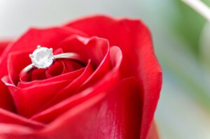 Picture of an engagement ring sitting in a rose showing types of diamond ring cuts