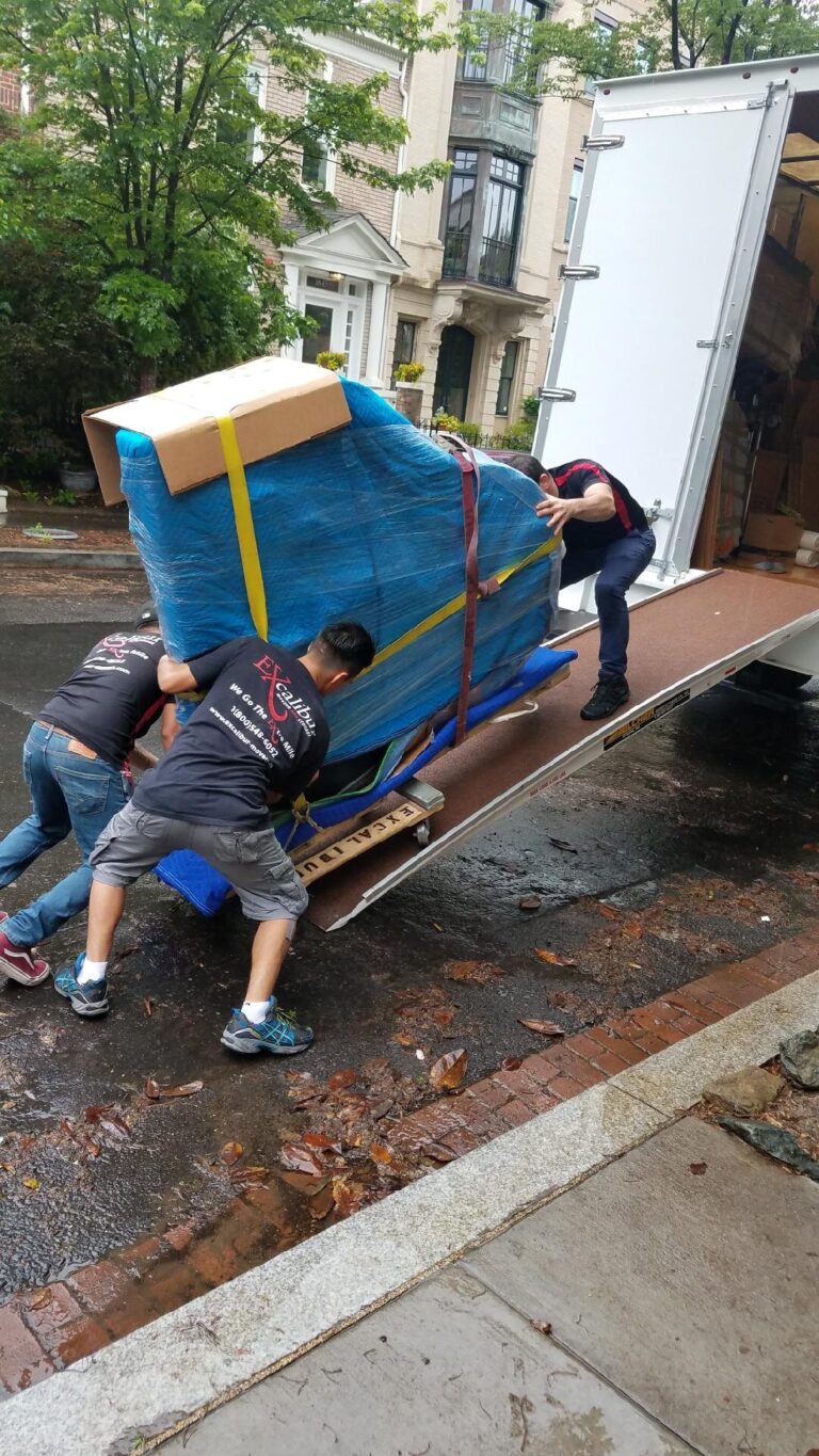 excalibur movers 1080x1920 768x1365