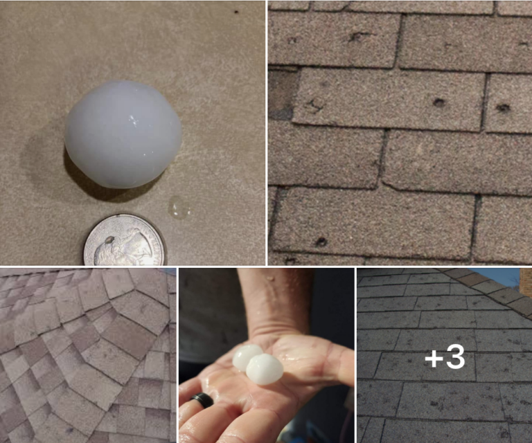 additional photo 71 768x640