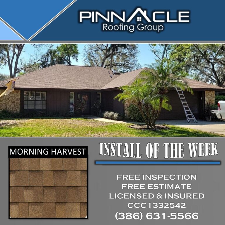 additional photo 5 1 768x768