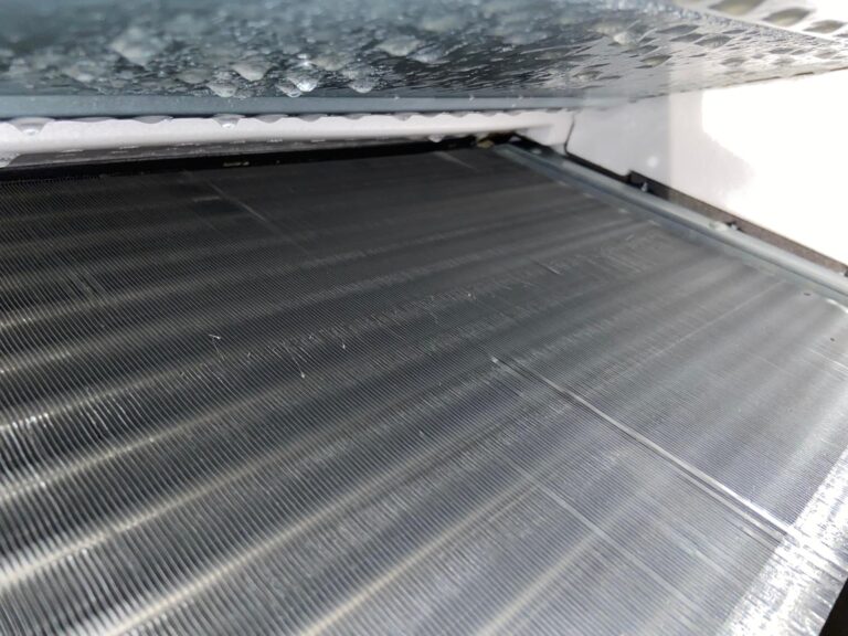 F072E48E 5675 4945 AF50 34ABED7F409A копия 768x576