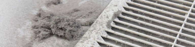 pdpS3NfbSSm73y3DnEPgBUah8IHZ57h70KYnD6eb 768x187