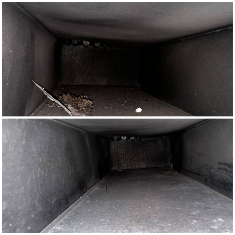 photo collage.png 5 768x768