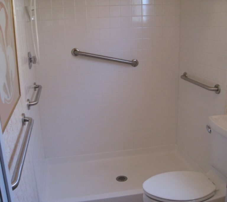 todds bathtubs grabbar2 e 768x684