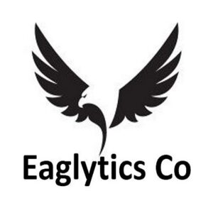 Eaglytics Co 1 300x300