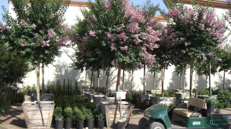 additional photo 1 2 768x431