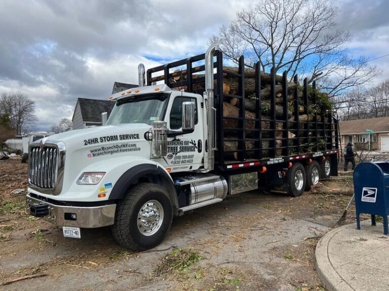 WV1C8jy83L63q9dS3H8wwhTio0oj4AK1ebSJ8cI8 768x576