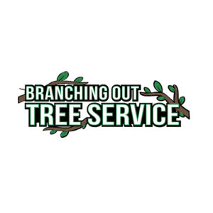 logobranchingtree 300x300