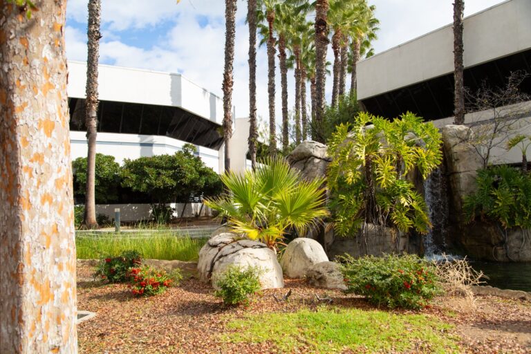 additional photo 5 1 768x512