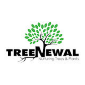 image 500x500 3 300x300