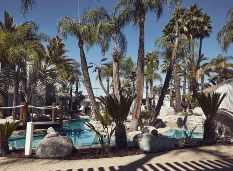 LSBJUrjIEN7X4VwnXq97Ec5N4NXnItSNoa09cX1J 768x563