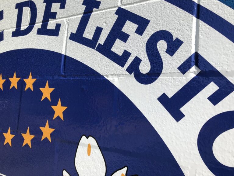 Printed Decal 1 768x576